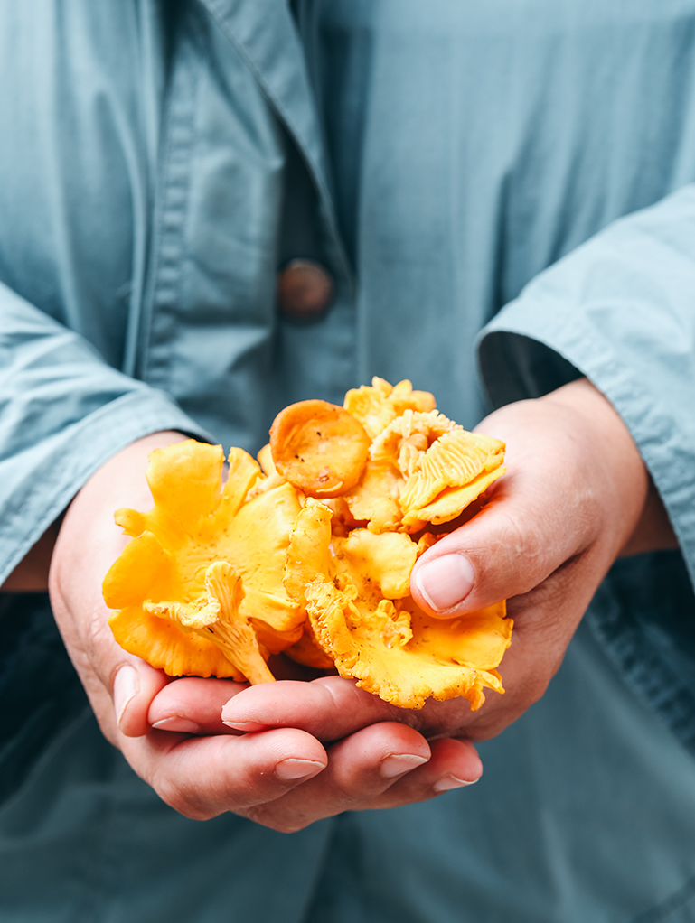 Sommerhausküche_Pfifferlinge_Michaela Fuchs